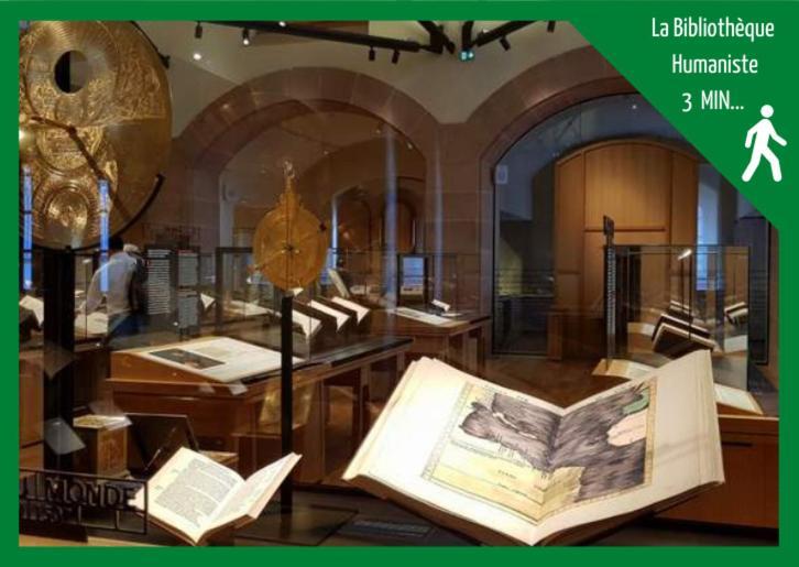 Le Studio Du Tanneur Selestadien Sélestat Buitenkant foto