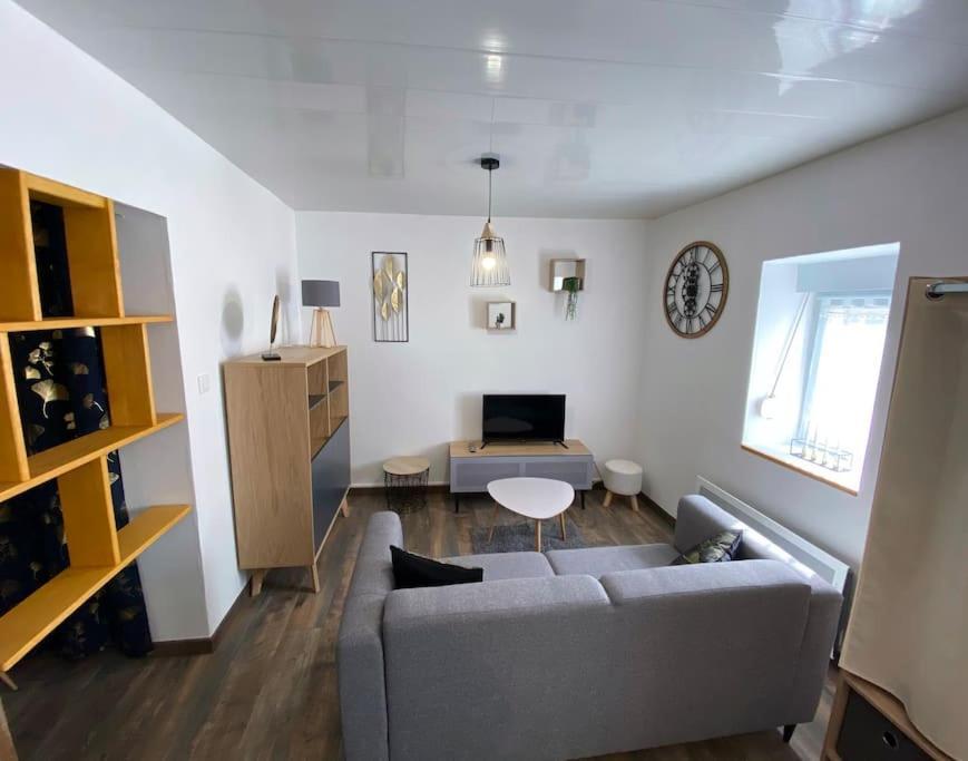 Le Studio Du Tanneur Selestadien Sélestat Buitenkant foto