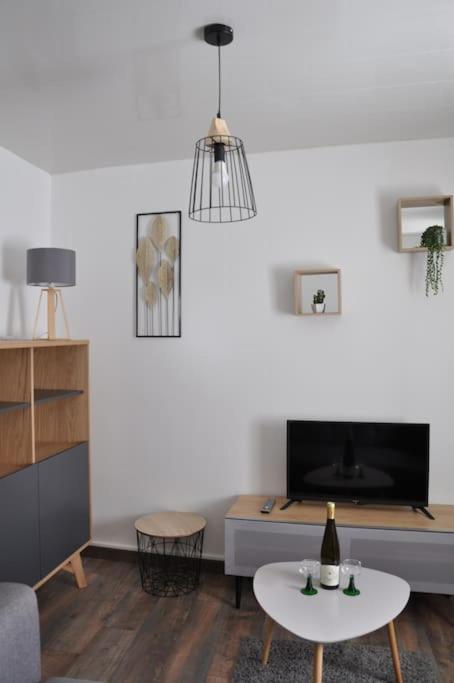 Le Studio Du Tanneur Selestadien Sélestat Buitenkant foto